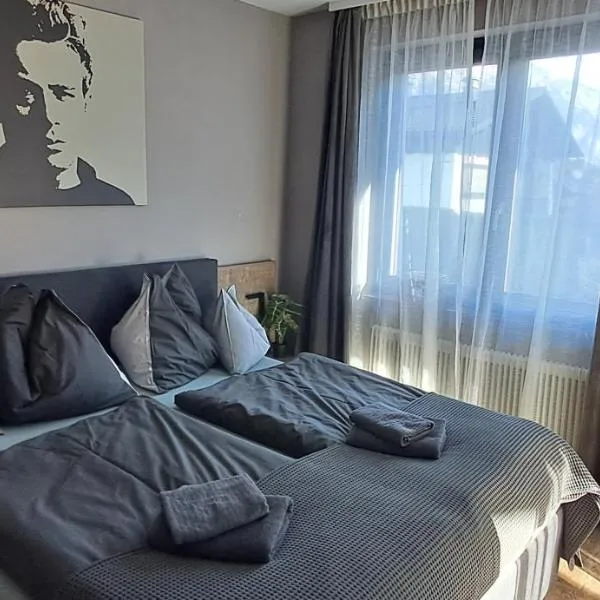 Apartmenthaus Hinterer, hotel u gradu Bad Gojzern