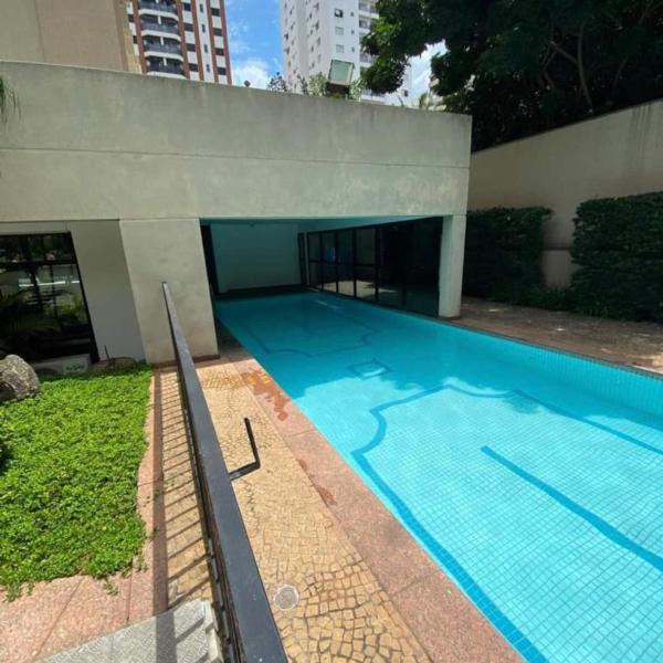 Sandra Pedroso - Foto 4