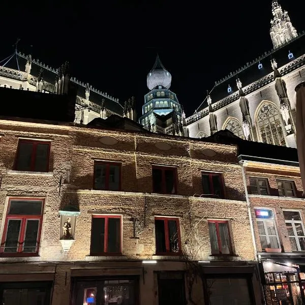 Het Kathedraalhuis Goudblomme, hotel v Antverpách