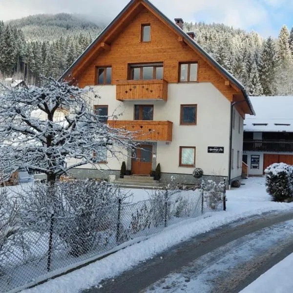 Apartments Ela，拉退采的飯店