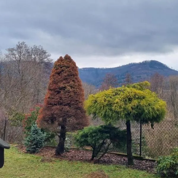 Dziupla, hotel di Górki Wielkie