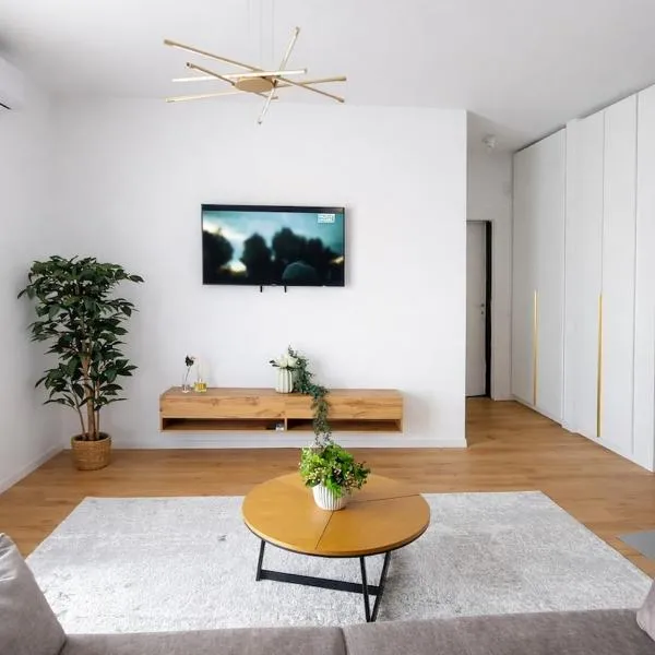 Otopeni Transit Stay-Free Parking- Self Check-in, отель в городе Tunarii