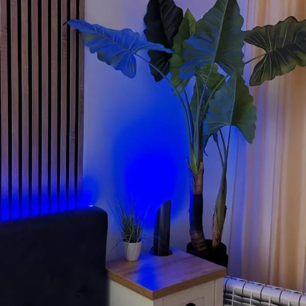 Abel Luxury Home，康斯坦察的飯店