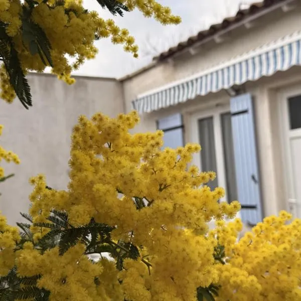Gite climatisé avec piscine sur les hauteurs de Bollene, отель в городе Боллен