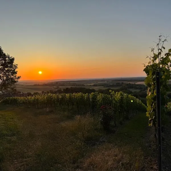 Panorama 180, hotel en Kitzingen