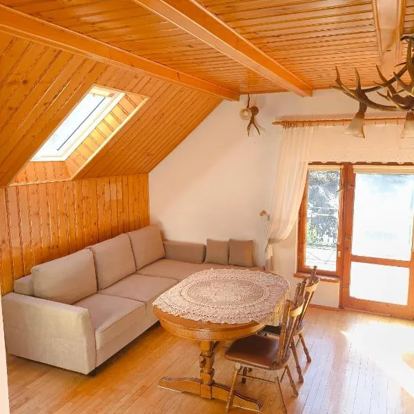 Agroturystyka - POD DWOREM, hotell sihtkohas Jureczkowa