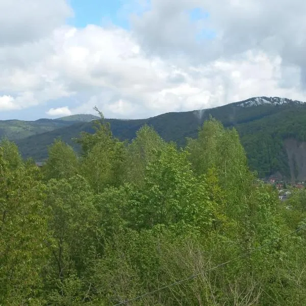 Villa Gold, Hotel in Jaremtsche