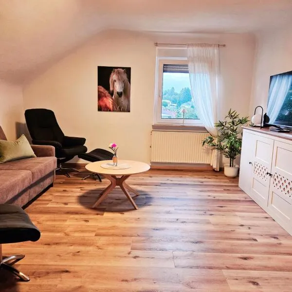 Ferienwohnung Schwarzhof Hahnekräh am Bostalsee, viešbutis mieste Nohfeldenas