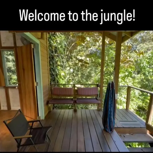 Jungle Paunch、ボカス・タウンのホテル