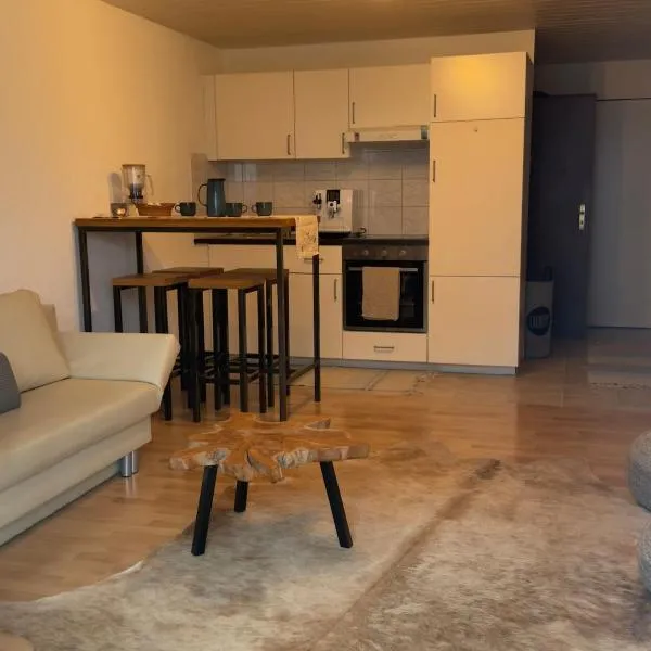 Ruhiges Apartment am See, хотел в Altnau