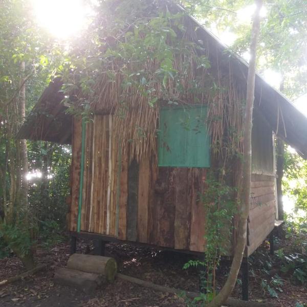 Choupana Carimbó - Foto 2
