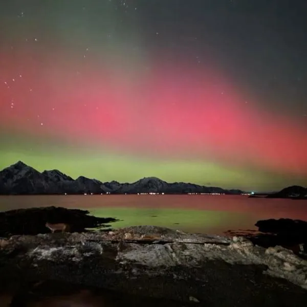 A house in the heart of Vesterålen, hotel em Stokmarknes