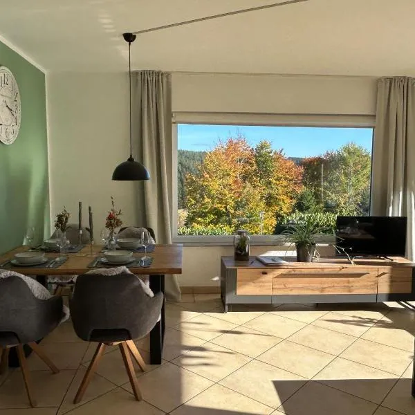 Tannenblick, hotel i Schönwald