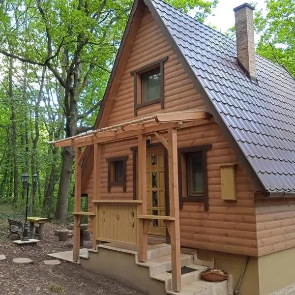 Kismaros에 위치한 호텔 Őzike-Lak a Börzsönyben