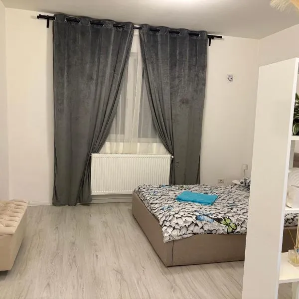 Bella Home Residence, hotell i Roşu