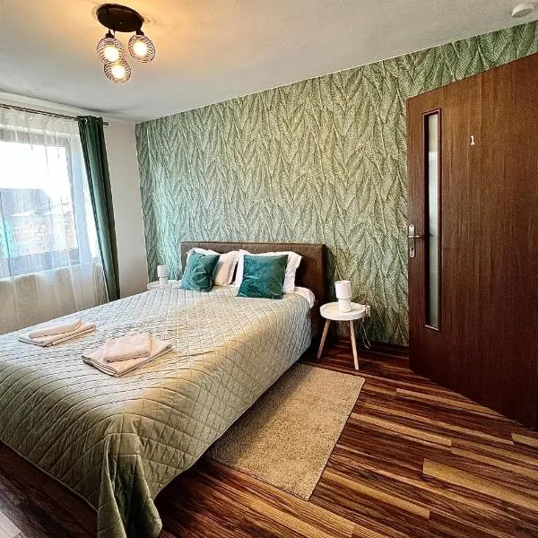 S-HOUSE Apartament spatios cu 2 dormitoare, curte, bucatarie, terasă și parcare privată aproape de Sibiu, hotel sa Avrig