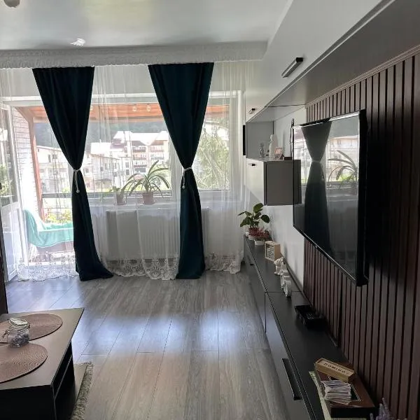 AKY Residence, отель в Слэник-Молдове