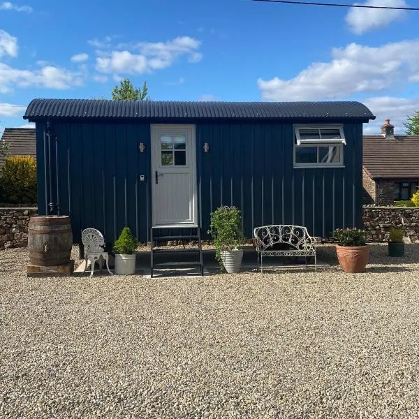Ewes Rest Shepherds Hut, hotel in Kirkby Stephen