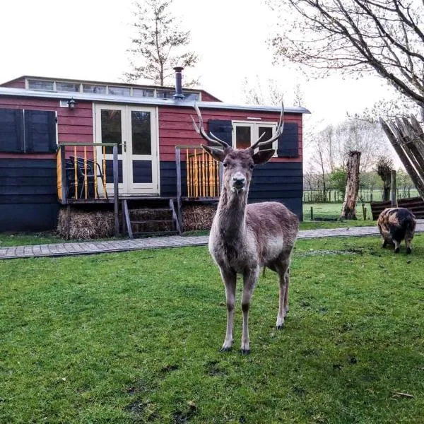 Viesnīca B&B 't Maartensdijkse Bos pilsētā Maartensdijk