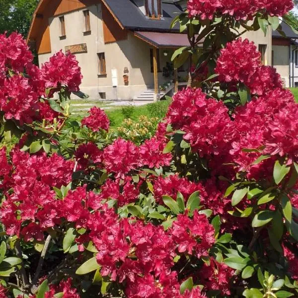 Dworek Myśliwski – hotel w mieście Łaziska