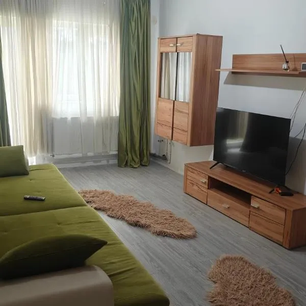 Ultracentral Biblioteca, hotel in Caracal