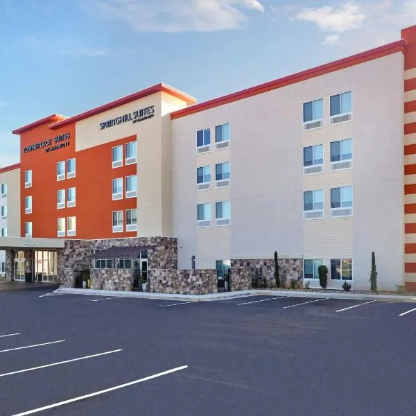 SpringHill Suites by Marriott Locust Grove, hotel di Locust Grove