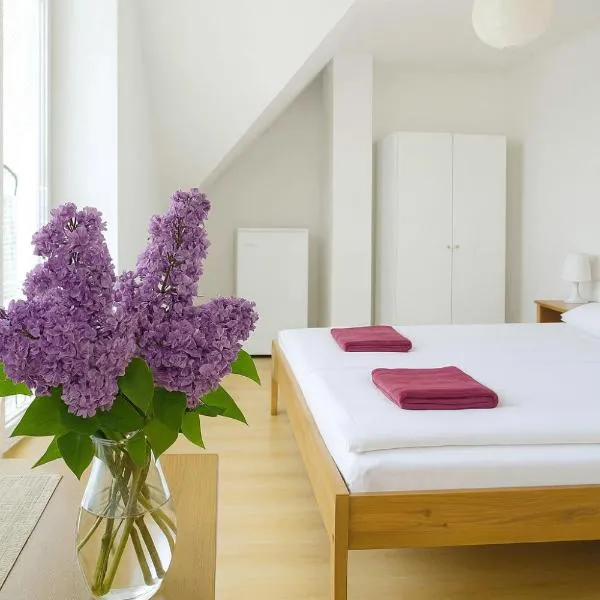 Penzion Zacha se sklípkem, hotel u gradu Vracov