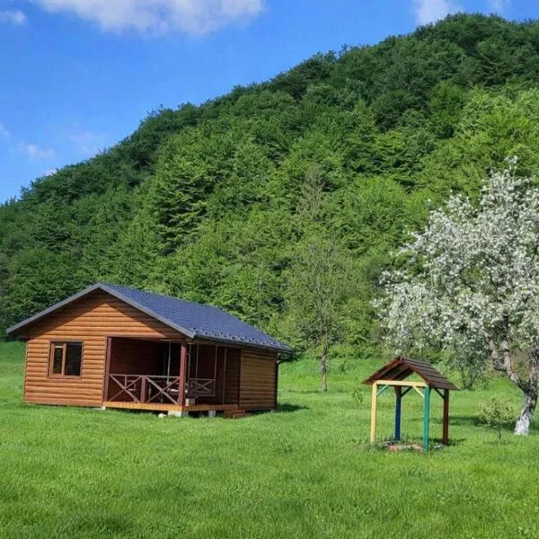 Оберіг, hótel í Sheshory