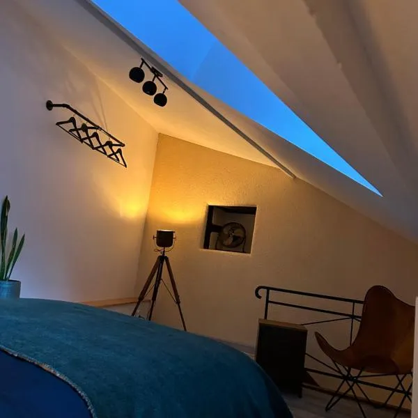 Dupplex, centre ville, Hotel in Blois