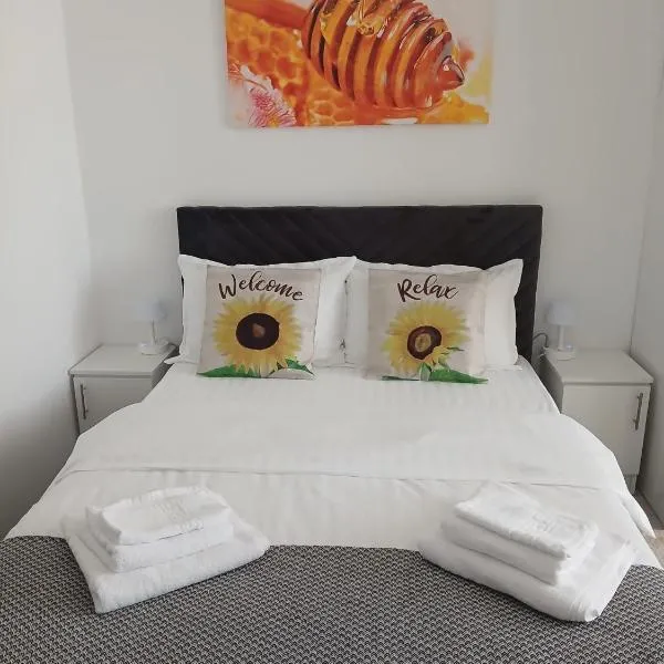 Sun Studio Onești, hotel di Onești