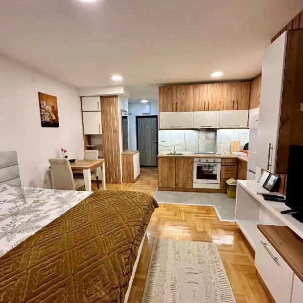 Vidolux Studio - Free Garage and Fast WiFi, hotel in Niš
