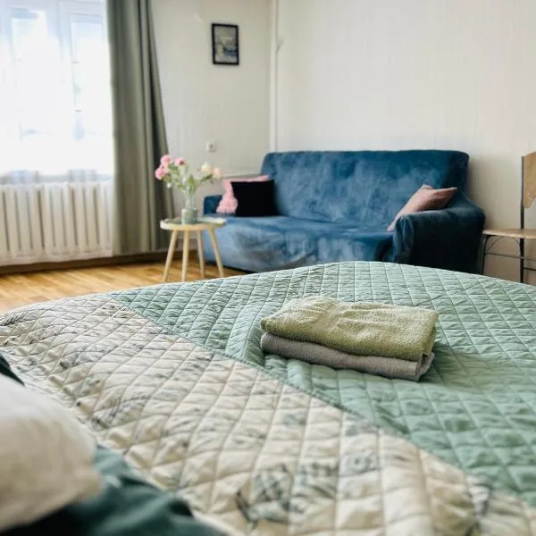 Duży apartament z kuchnią i łazienką w centrum Namysłowa, khách sạn ở Namysłów