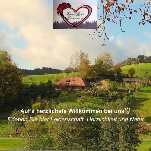 Hernis-Höfle 5 Sterne "Wohlfühlambiente " im Elztal, hotel in Elzach