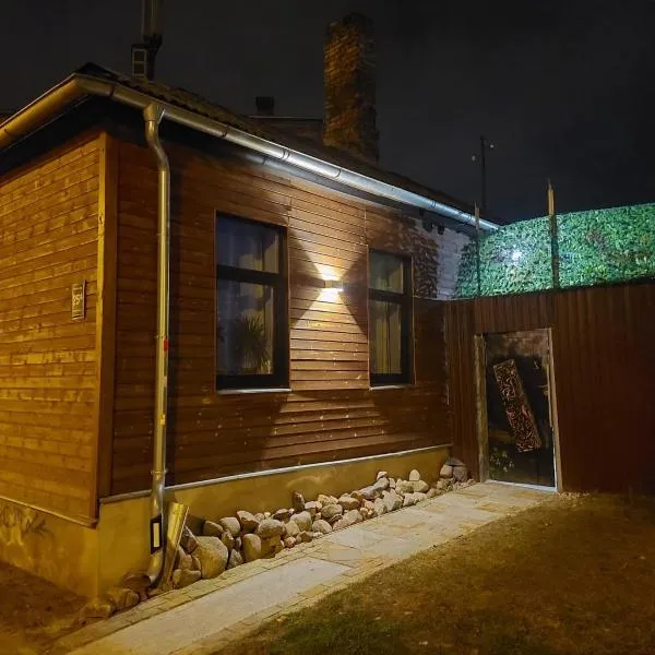 Deep House Trip-Art House Riga, Hotel in Riga