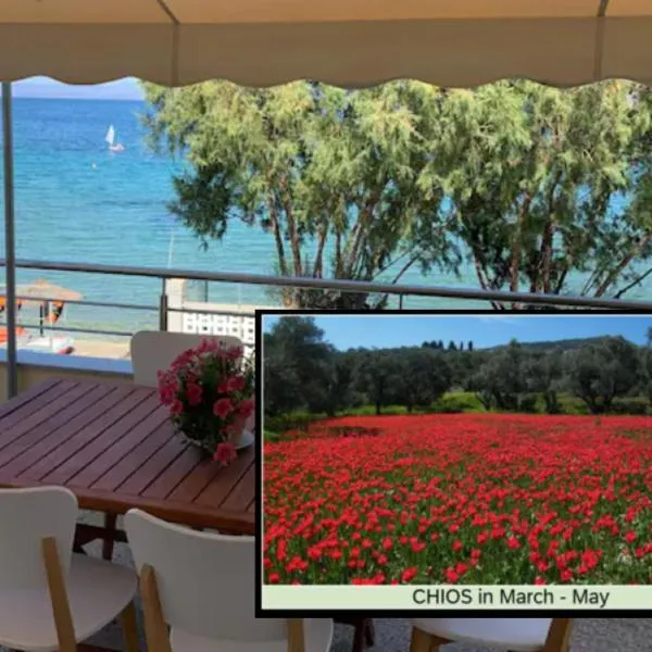 Vrontados में, होटल Blue Flag Award Winning Beach: Home 2