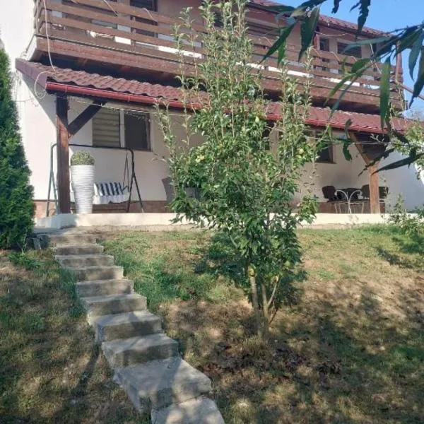 Cabana Sabo, hotel Vasasszentivánban