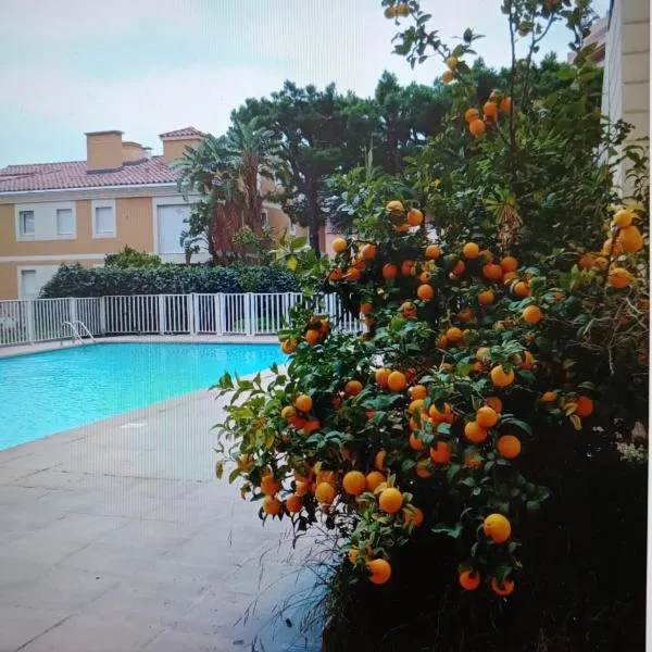 Proche de Monaco appartement devant piscine, hotel a Beausoleil