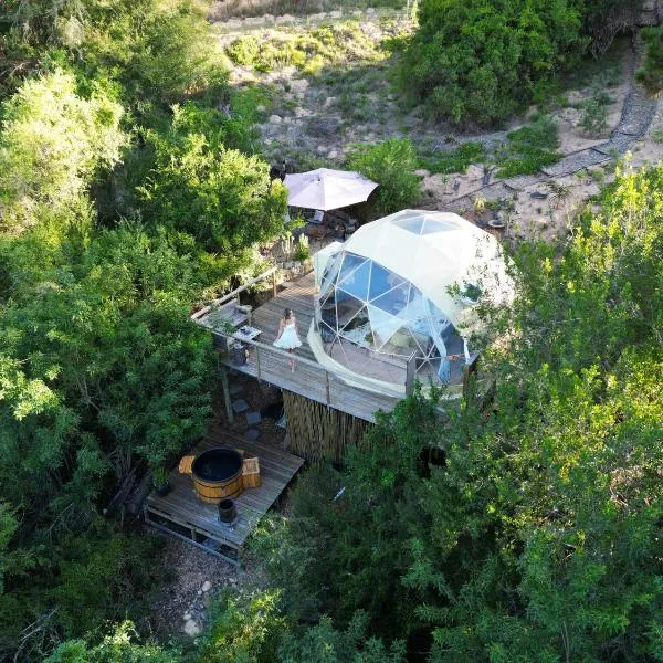Soul Forest GeoDome - Off-grid Nature Escape, hotel in Sedgefield