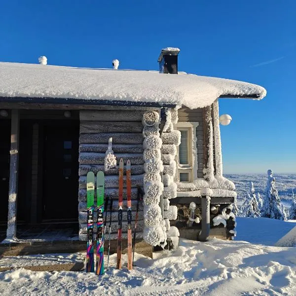 Pöllönpesä Iso-Syöte, viešbutis mieste Syöte