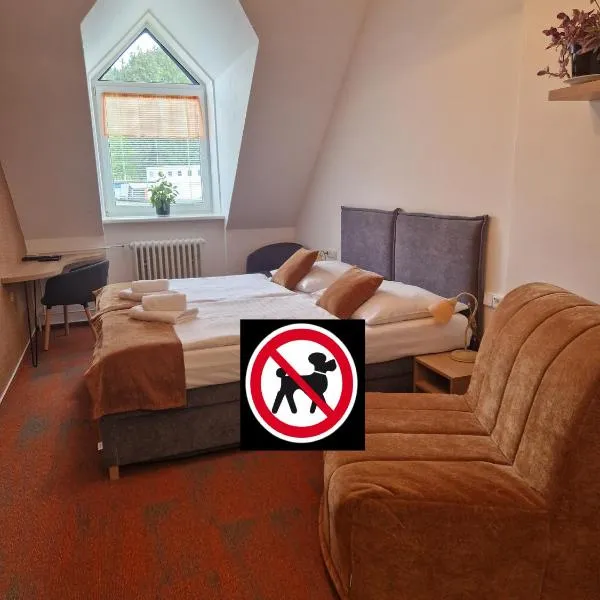 Hotel Skicentrum: Harrachov şehrinde bir otel