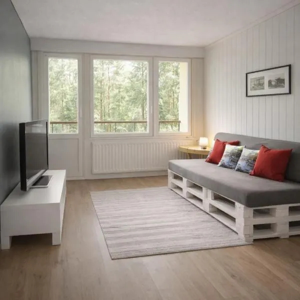 1-Bedroom Apartment with Sauna، فندق في هينولا