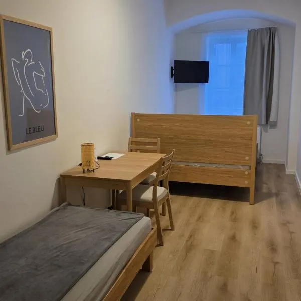 Steyr में, होटल Apartment im Stadtzentrum