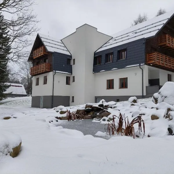 Apartmány Deštné 251, Hotel in Deštné v Orlických horách