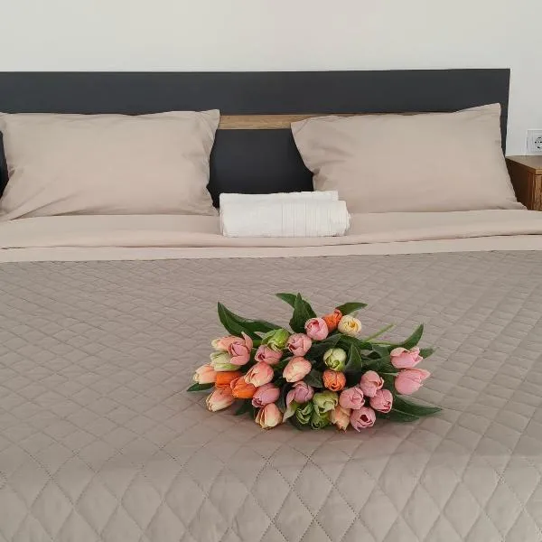 Comfort House Партизанська 25, hotel a Bila Cerkva