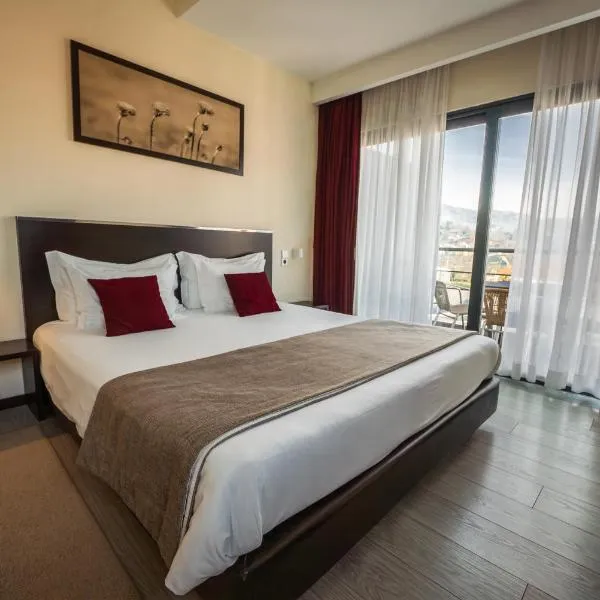 Hotel S Pedro - Arouca, hotel sa Arouca