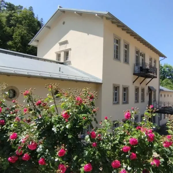 Forellenwasser, hotel in Schweizermühle