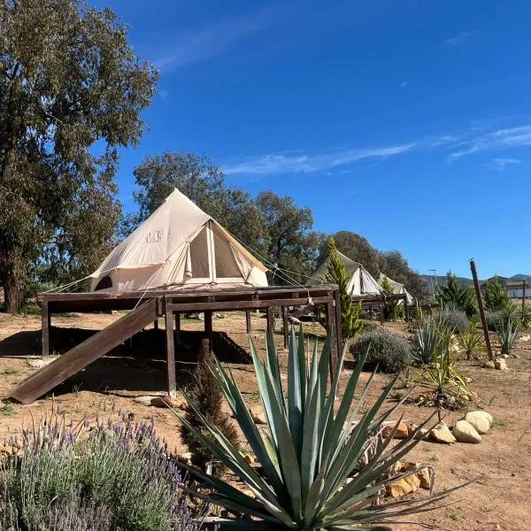 Cosmo Glamping, Hotel in Valle de Guadalupe