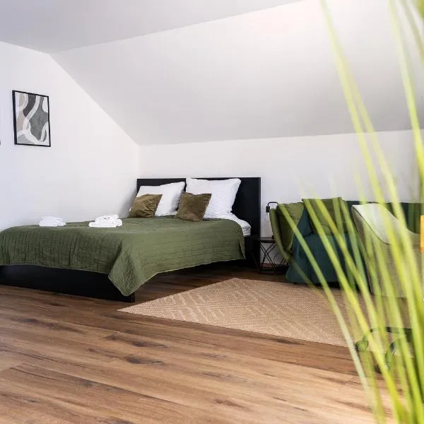 Apartment Manu, Hotel in Inzlingen