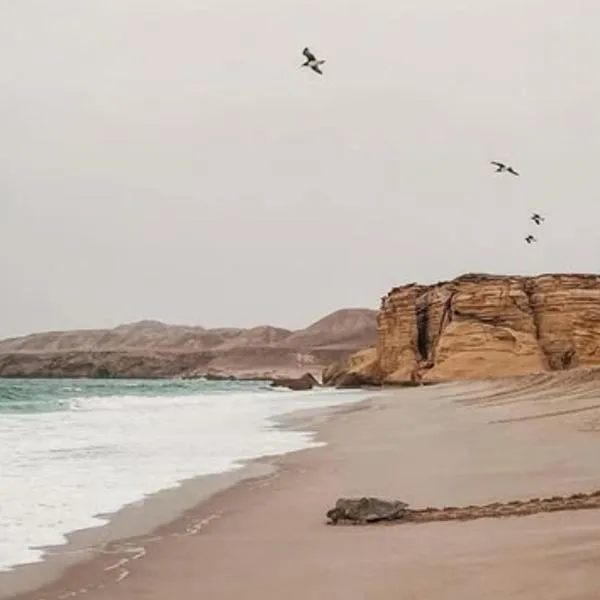 Seeing Turtles At Ras al jinz Hospitality, hotel en Junayz al Janūbī