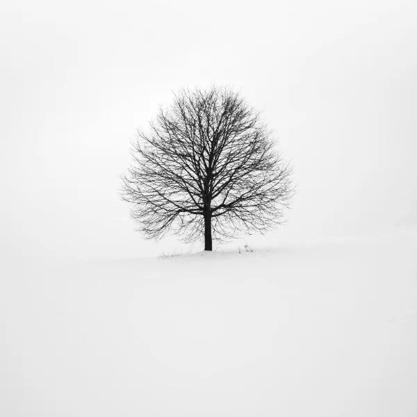 Garrigás에 위치한 호텔 La Masia Costa Brava -Adults Only